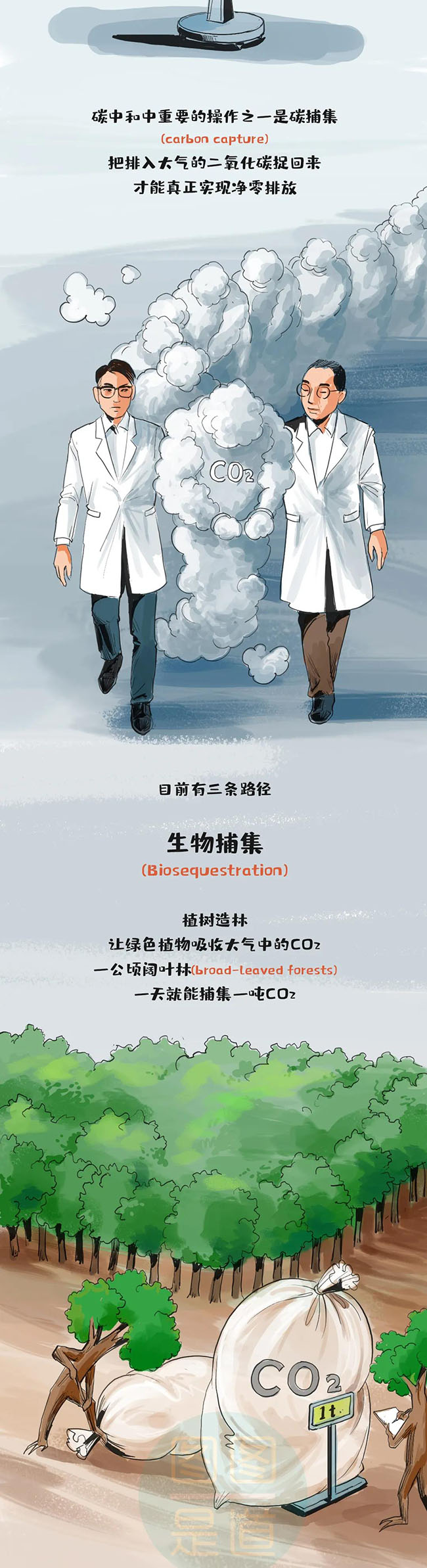 什么叫“碳达峰、碳中和”一副漫画看明白2.jpg