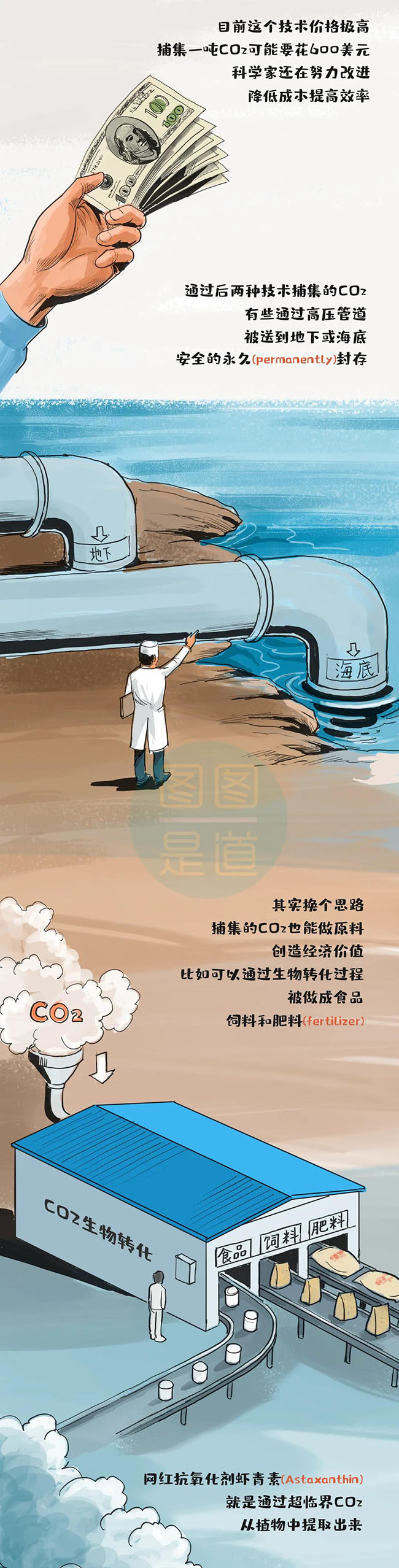 什么叫“碳达峰、碳中和”一副漫画看明白4.jpg